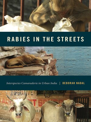 cover image of Rabies in the Streets